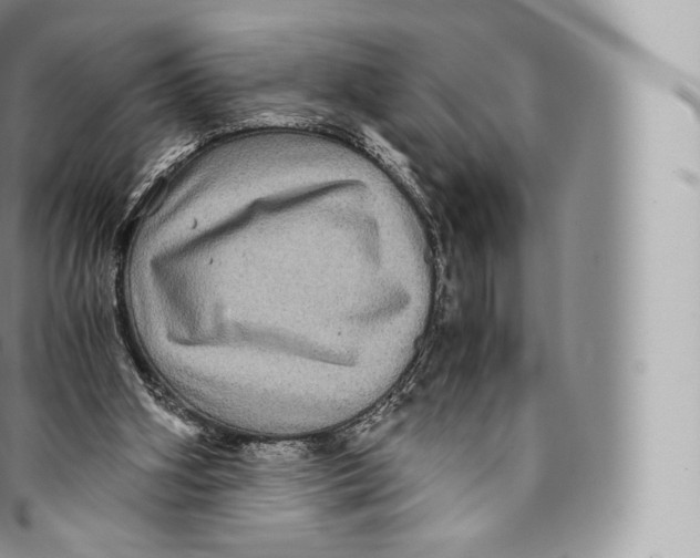 X0000096480106200802141731