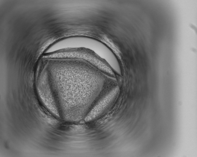 X0000096480107200802141731