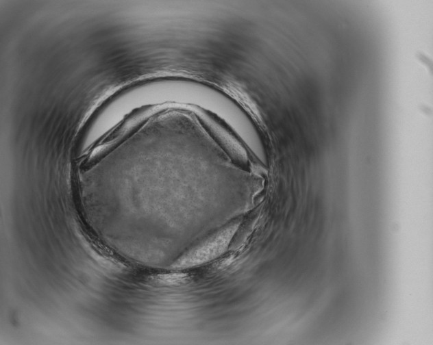 X0000096480108200802141731