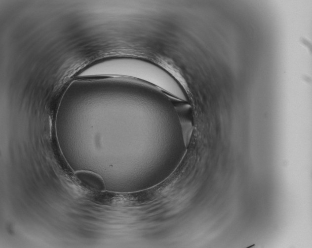 X0000096480109200802141731