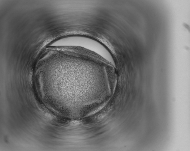 X0000096480111200802141731