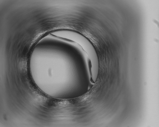 X0000096480112200802141731