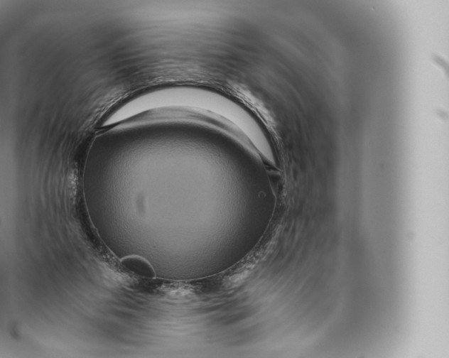 X0000096480113200802141731