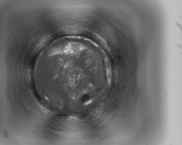 X0000096480114200802141731