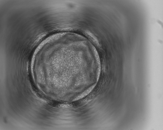 X0000096480115200802141731