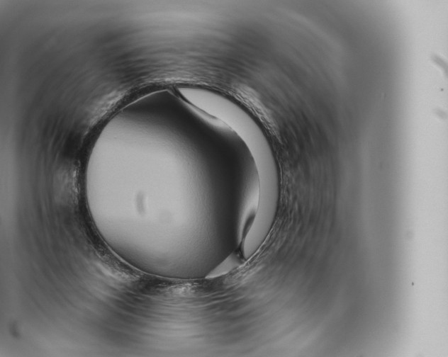 X0000096480116200802141731