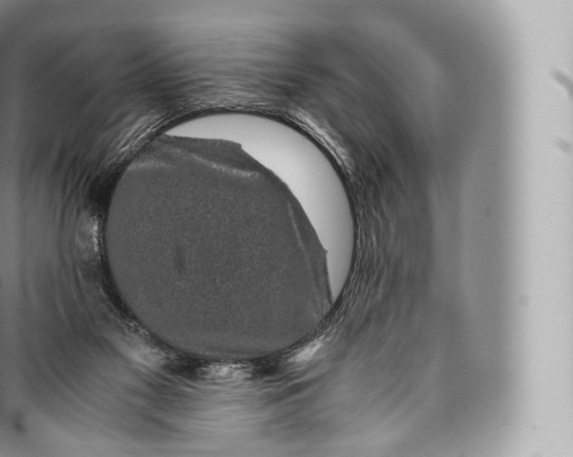 X0000096480117200802141731