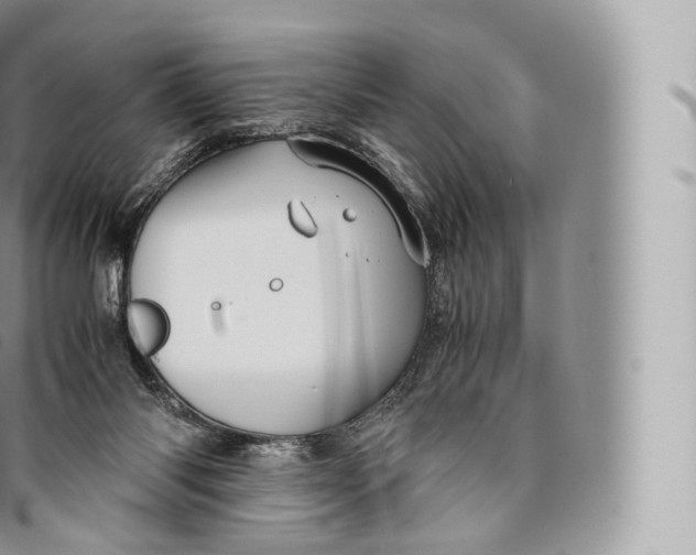 X0000096480118200802141731