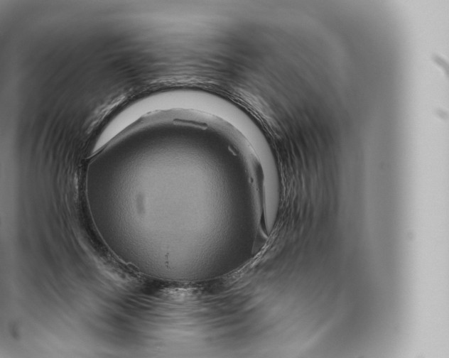 X0000096480120200802141731