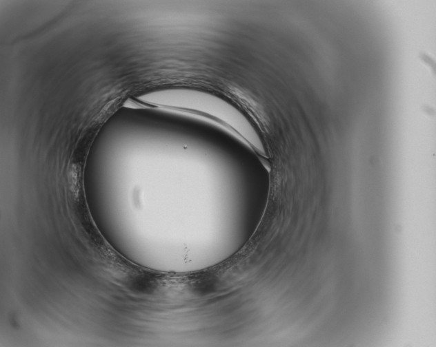 X0000096480121200802141731