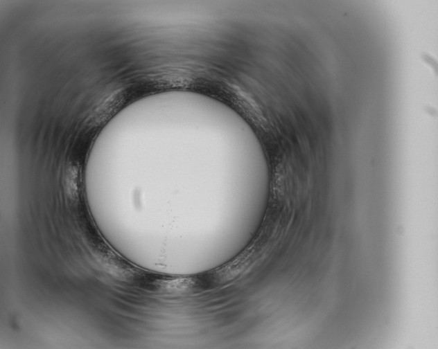 X0000096480122200802141731