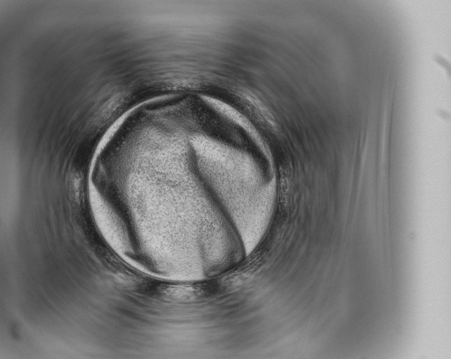 X0000096480123200802141731