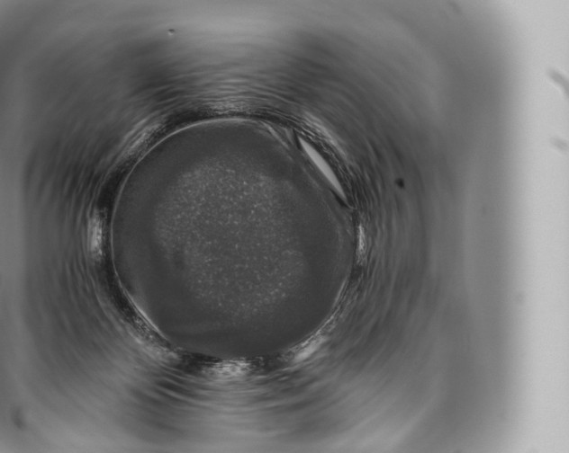 X0000096480124200802141731