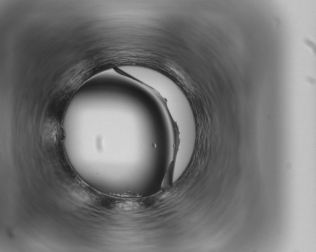 X0000096480125200802141731