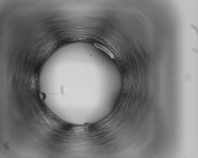 X0000096480126200802141731