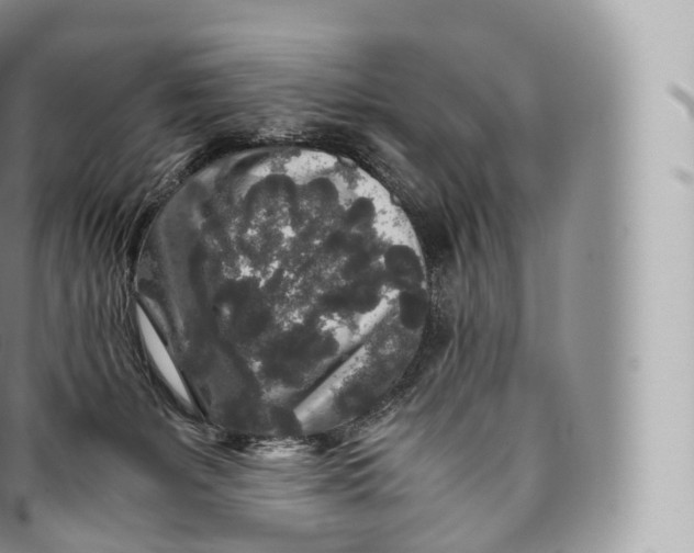 X0000096480127200802141731