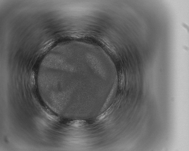 X0000096480128200802141731