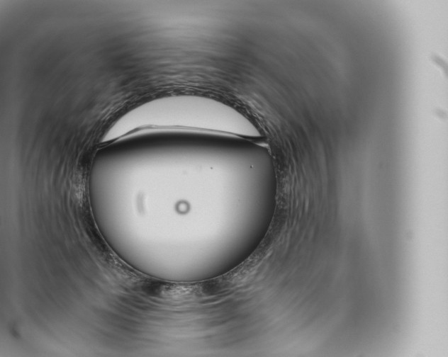 X0000096480129200802141731