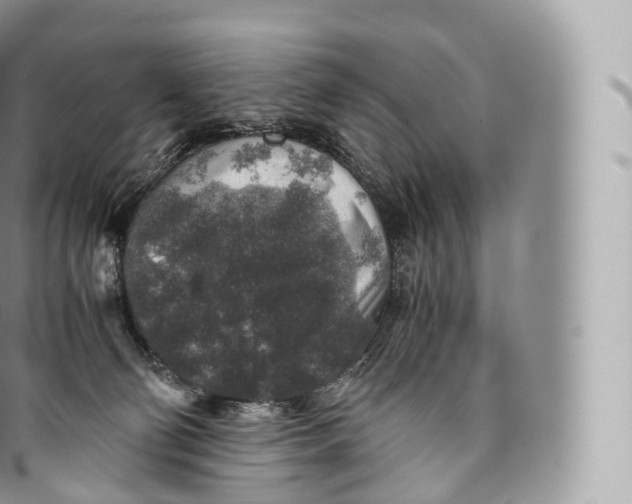 X0000096480130200802141731