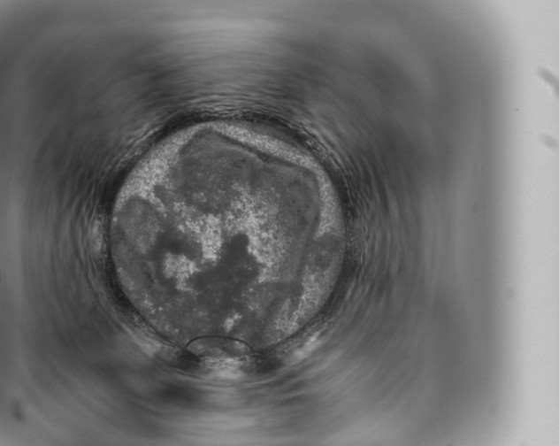 X0000096480131200802141731