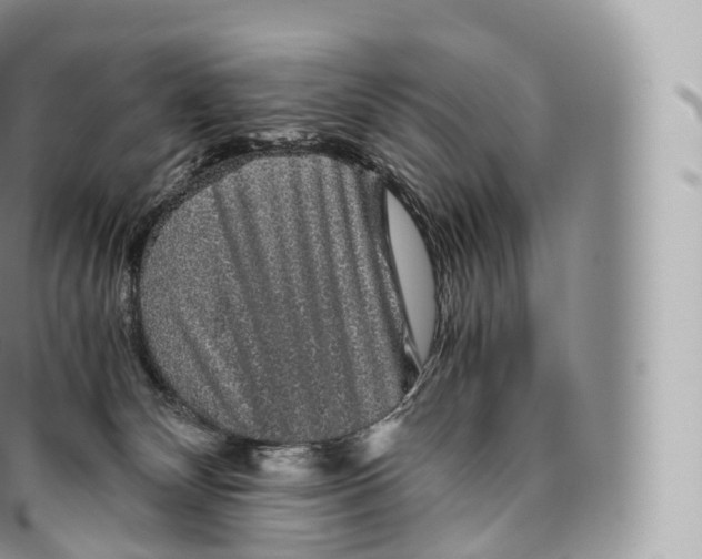 X0000096480132200802141731