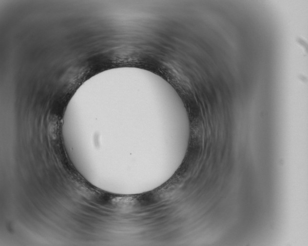 X0000096480133200802141731