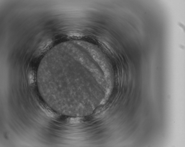 X0000096480134200802141731