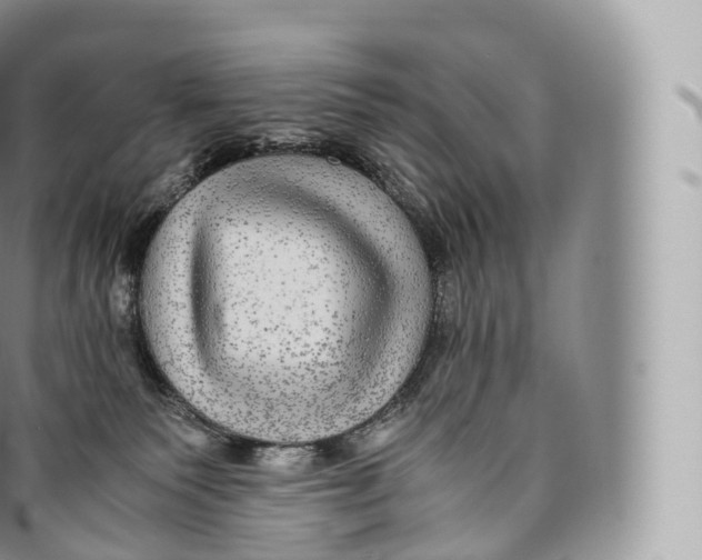 X0000096480135200802141731