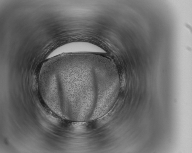 X0000096480136200802141731