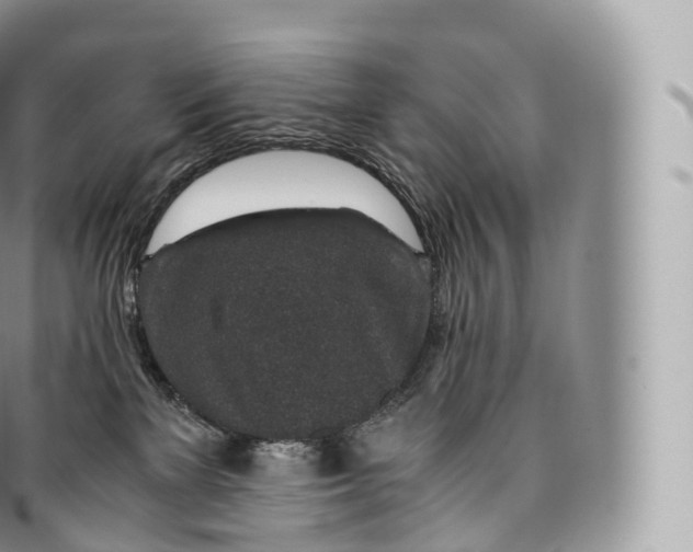 X0000096480137200802141731