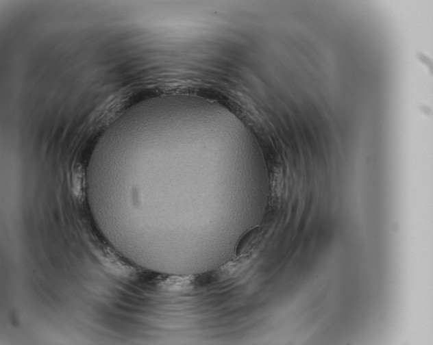 X0000096480138200802141731