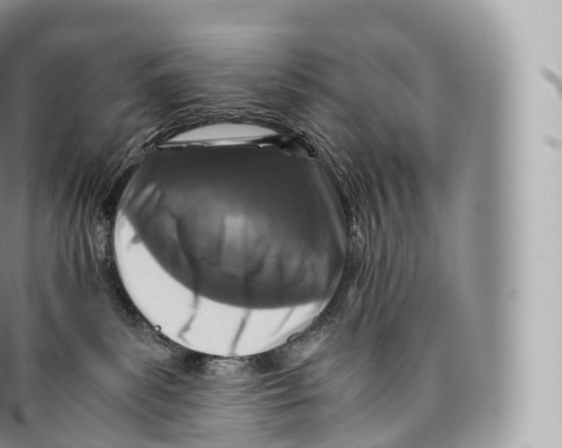 X0000096480139200802141730