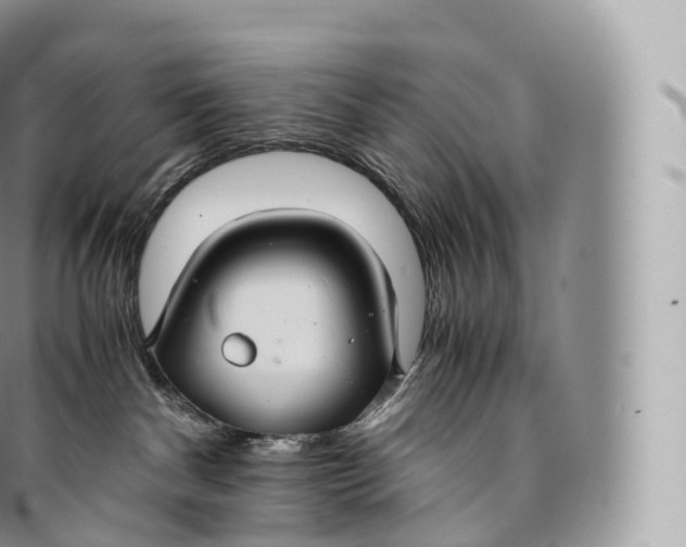 X0000096480140200802141730