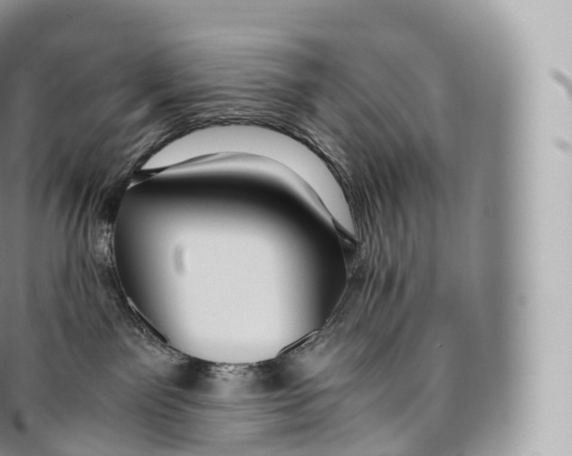 X0000096480141200802141730