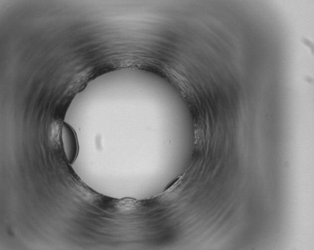 X0000096480142200802141730