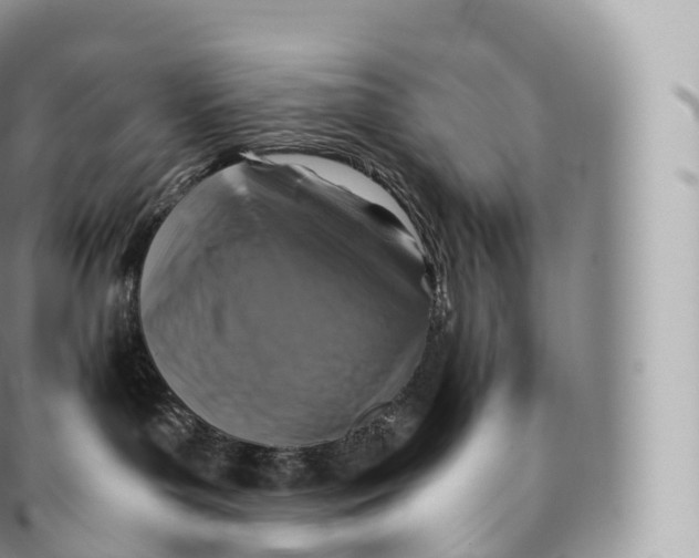 X0000096480143200802141730