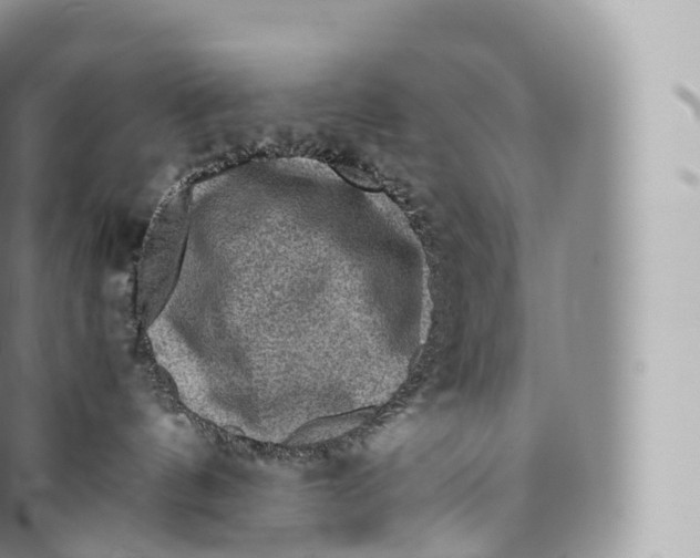 X0000096480144200802141730