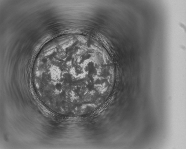 X0000096480145200802141730