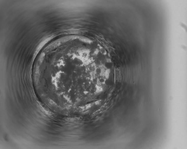 X0000096480147200802141730