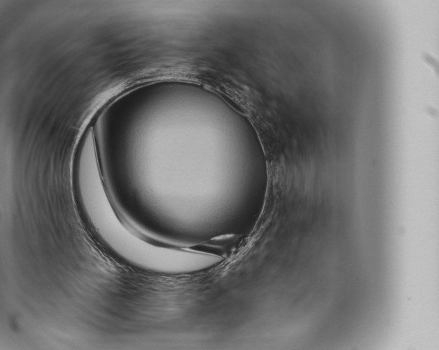 X0000096480148200802141730