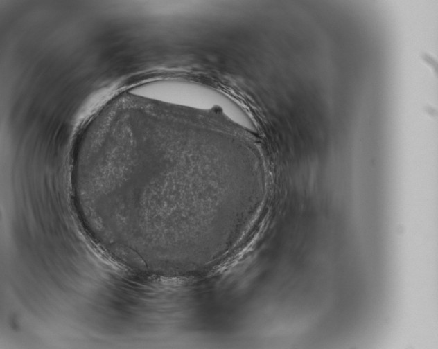 X0000096480149200802141730