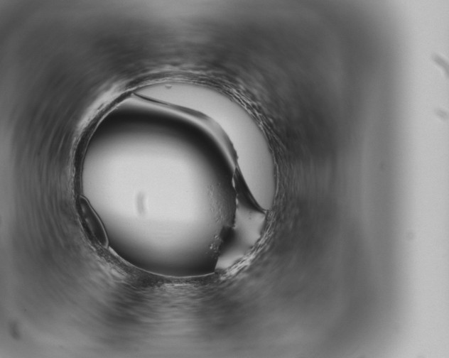 X0000096480150200802141730