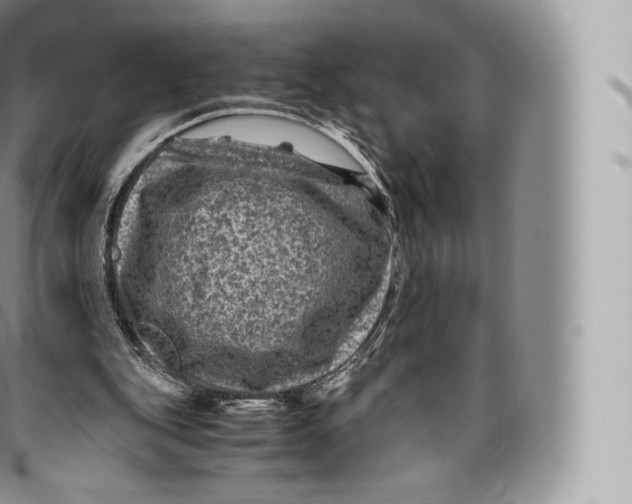 X0000096480151200802141730