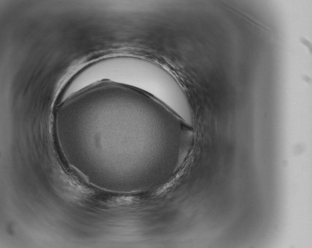 X0000096480152200802141730