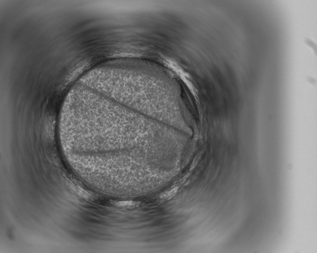 X0000096480153200802141730