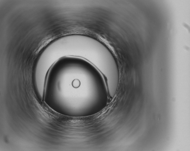 X0000096480154200802141730