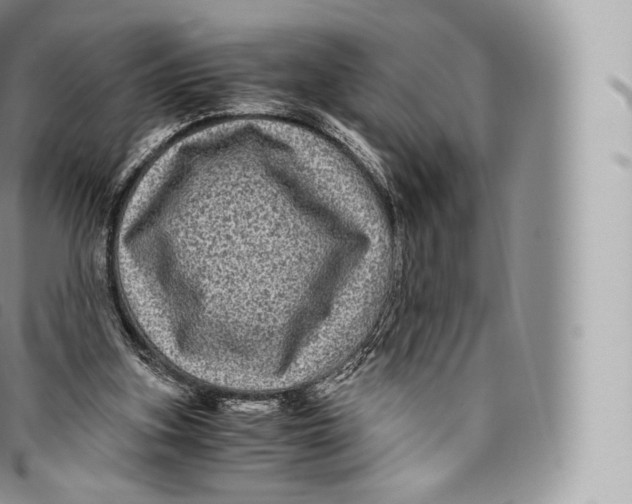 X0000096480155200802141730