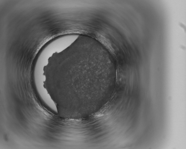 X0000096480156200802141730