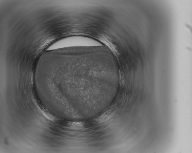 X0000096480157200802141730