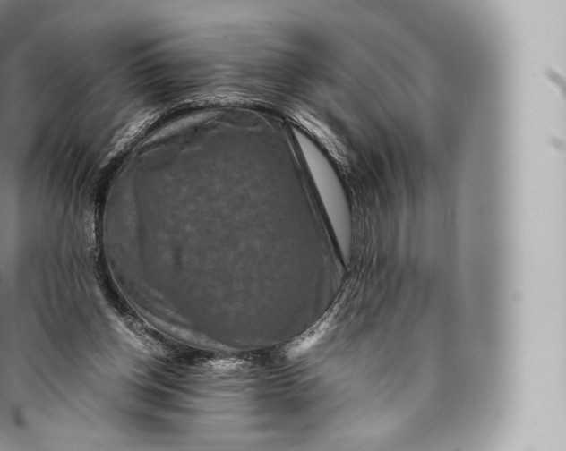 X0000096480158200802141730